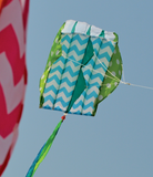 Parafoil 2 Kite - Quirky Cool