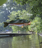 Swimming Fish - Bass