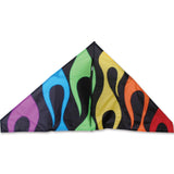56 in. Delta Kite - Rainbow Flames