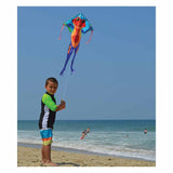 Lg. Easy Flyer Kite - Rainforest Frog