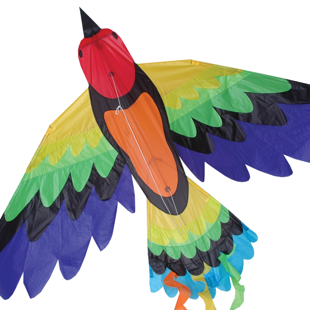 Rainbow Bird Kite