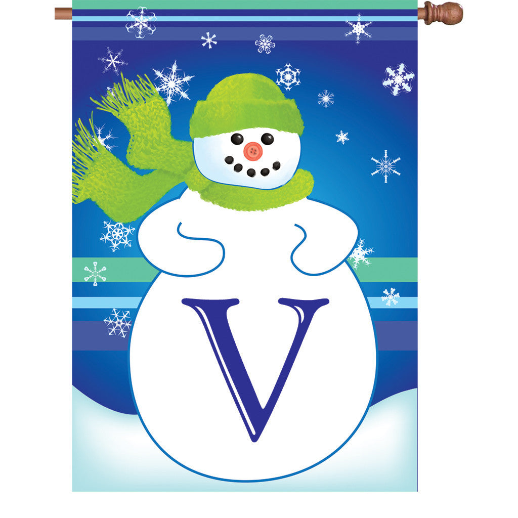 28 in. Monogrammed House Flag - Winter Monogram - Letter V