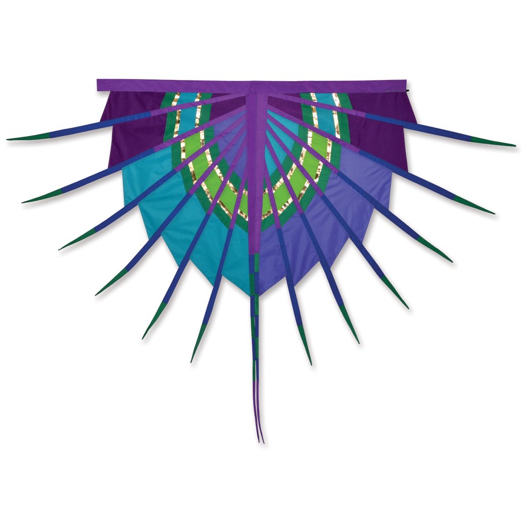 SoundWinds David Ti Olympic Banner - Purple/Blue