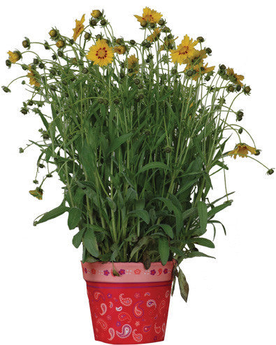 Flower Pot Cover - Red Paisley