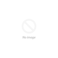 Bold Innovations Kites